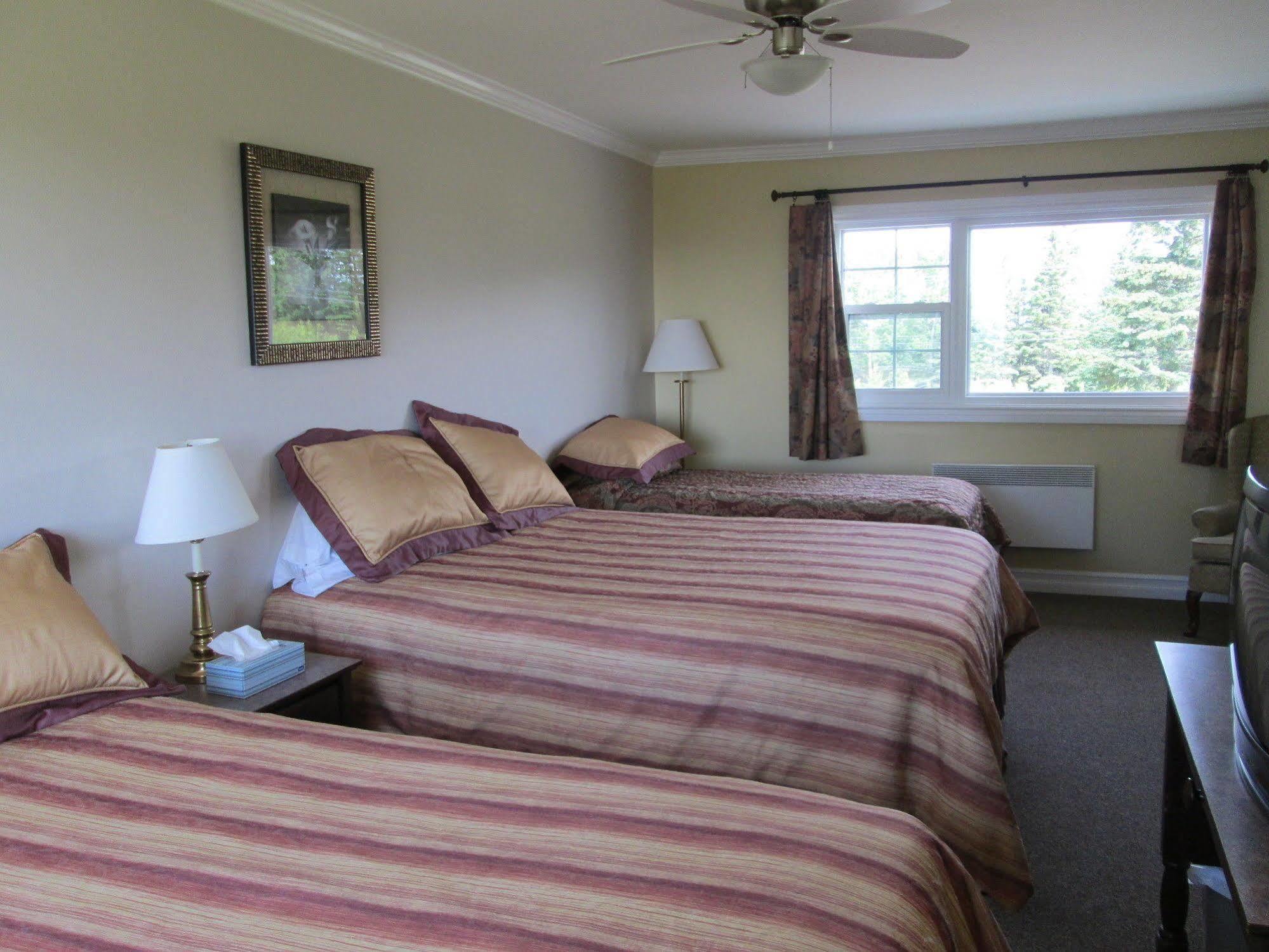 Scenic Motel Moncton Buitenkant foto